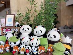 -成都天府丽都喜来登饭店