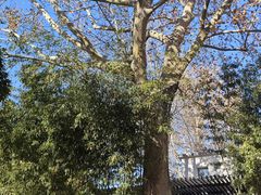 -春晖园度假酒店温泉