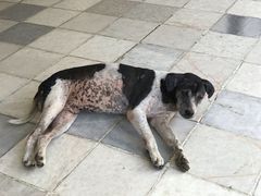 -ခြောက်ထပ်ကြီးရွှေသာလျောင်းဘုရားကြီး