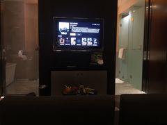 -成都明宇丽雅饭店