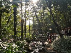 -广州市白云山风景名胜区