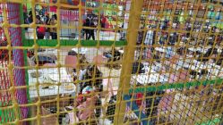 -宝燕乐园(闵行旗舰店)