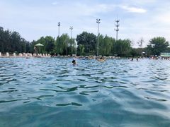 -柳浪游泳场