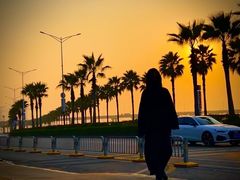 -宝安西湾红树林湿地公园