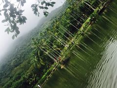 -呀诺达热带雨林