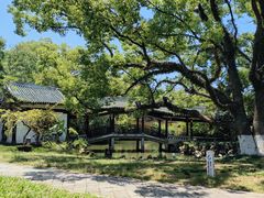 -江心屿景区