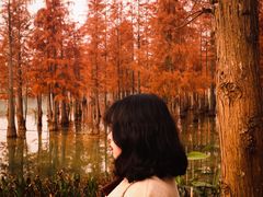 -白鹭湾湿地公园