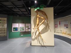 -广东中医药博物馆