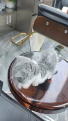 -和木形象