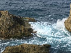 -龙坑生态保护区