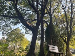 -莲花岛景区