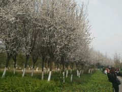 -白鹭湾湿地公园