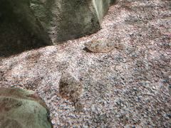 -沈阳海洋探索中心