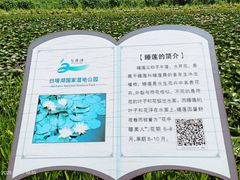 -白塔湖国家湿地公园