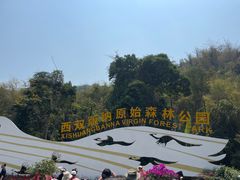 -西双版纳原始森林公园