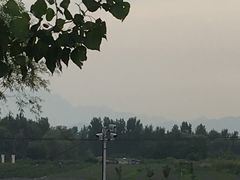 -北京东方普罗旺斯薰衣草庄园