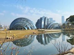 -上海植物园-4号门售票处