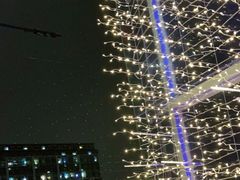 -盒马鲜生(红莲店)