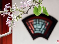 -北海公园