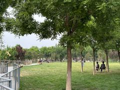 -爪吧宠物乐园 (温榆河示范区店)