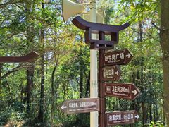 -广州白江湖森林公园