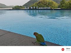 -宁波九龙湖开元度假村