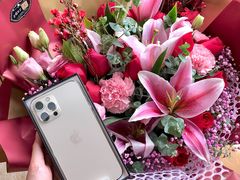 -Apple零售店(深圳益田假日广场店)