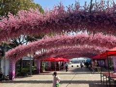 -南汇桃花村