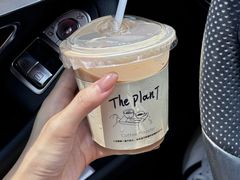 冰拿铁-THE PLAN_T COFFEE ROASTER(定岗湖公园店)
