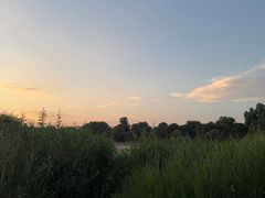 -海德公园
