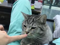 -菠萝格斗巴西柔术训练馆