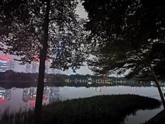 -南宁南湖公园
