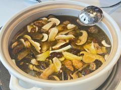 -爱膳菌锅锅(阳南店)