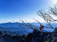 -老君山风景名胜区