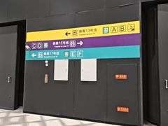 -望京西(地铁站)