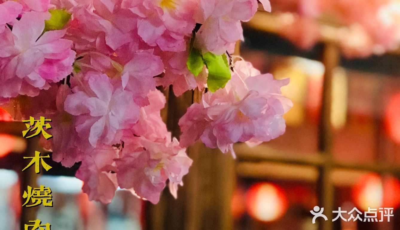 满树烂漫樱花下，炭火烤肉茨木烧