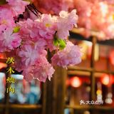 满树烂漫樱花下，炭火烤肉茨木烧