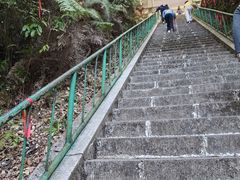 -云南屏边大围山国家公园