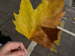 -霸王茶姬(大学城熙街店)