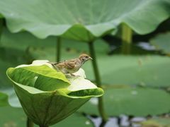 -颐和园