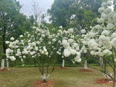 -盘龙城国家考古遗址公园