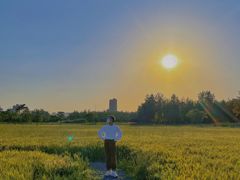 -汉长安城未央宫国家考古遗址公园