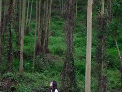 -英西峰林九重天景区