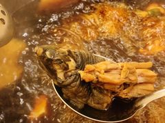 -甲鱼火锅(北村小区店)