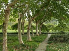 -白塘生态植物园