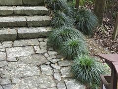 -梦姑塘文化公园