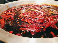 红汤锅底-潮火锅·麻辣牛肉火锅(观音桥方圆·LIVE店)