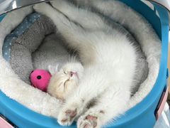-一兆韦德健身(梅川店)