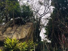 -乌山风景区