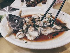 -阿四台山黄鳝饭(东门店)